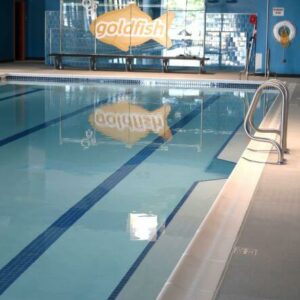 Goldfish Swim School 3